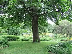 Autour du jardin magnifique.