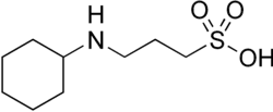 Image illustrative de l’article CAPS (tampon)