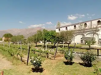Cafayate