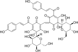 Image illustrative de l’article Carthamine