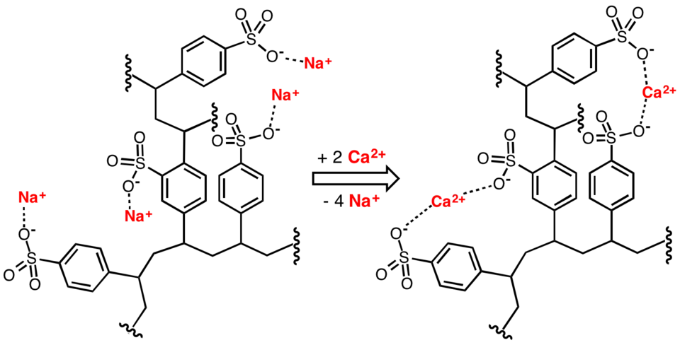Représentation idéalisée de l'adoucissement de l'eau par remplacement de cations Ca2+ par des cations Na+ à l'aide d'une résine en poly(styrène sulfonate) de sodium réticulée.