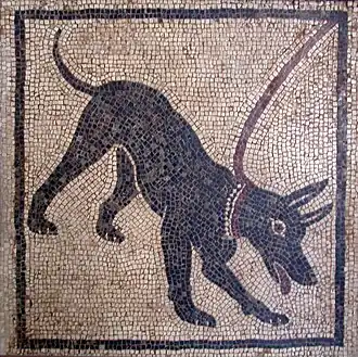 Mosaïque similaire retrouvée à la maison d'Orphée&nbsp;(it), également à Pompéi, et conservée au musée archéologique de Naples.
