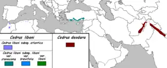 Description de l'image Cedrus map.png.