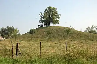 Motte féodale de Celles.