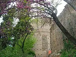 Rocca, tour 5.