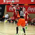 Avec Veszprém en 2014