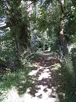Le Chemin du Roy.