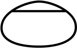 Logo.