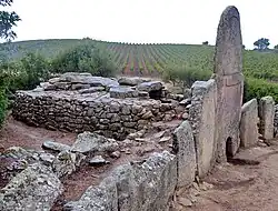 Tombe des géants de Coddu Vecchiu (Arzachena).