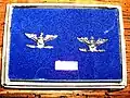 Paire d’insignes de captain de l'US Navy, équivalent du colonel de l'US Army, fabriqués par Hilborn & Hamburger, toujours dans leur boîte d'origine.