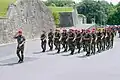 Les compagnies du 1er&nbsp;régiment de parachutistes d'infanterie de marine en 2008 à Bayonne.