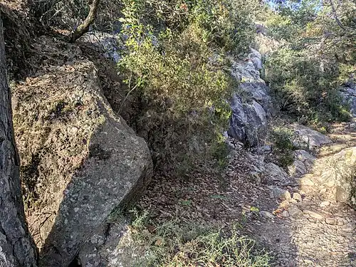 Affleurements de conglomérat paléocène (à gauche) et de granite hercynien (à droite), situés juste au nord du village de Coustouges, à travers laquelle passe la limite du flanc sud de la zone axiale des Pyrénées[11].