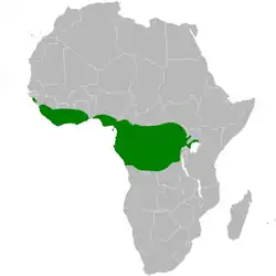 carte de répartition de Criniger