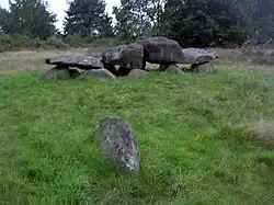 Image illustrative de l’article Dolmen D41