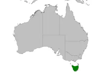 Description de l'image Dasyurus viverrinus distribution map.PNG.