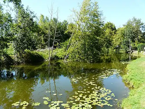 Le Dropt à Eymet.