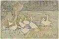Canards, esquisse.
