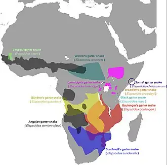 Description de l'image Elapsoidea map.jpg.