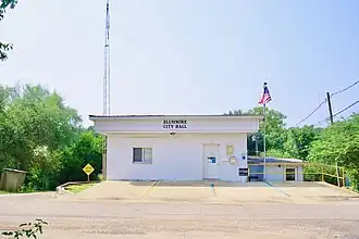 Ellsinore (Missouri)