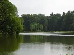 Grand Parc, vue sur l'île des Peupliers depuis la rive est de l'étang.