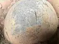 Vue de près révélant la texture en ciment peint (2/2)