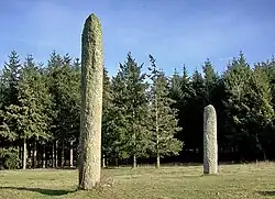 Menhirs jumeaux de la Ferme Lambert