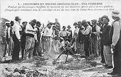 Description de l'image Ferrade.jpg.