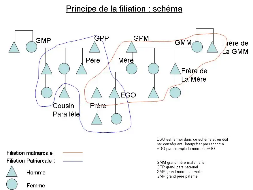 Principe de la filiation : schéma