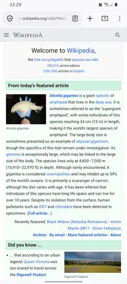 Description de l'image Firefox for Android 145.0 screenshot.webp.