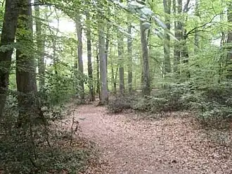 Isle-et-Bardais