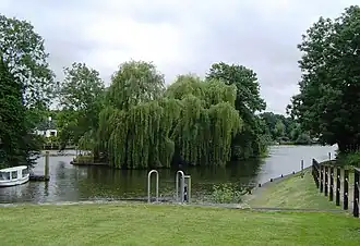 L'île Friday vue depuis l'écluse d'Old Windsor