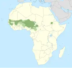 Diffusion du peul en Afrique.