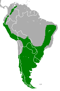 Description de l'image Geranoaetus melanoleucus range map.PNG.