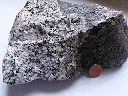 granodiorite