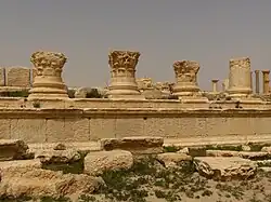 Colonnes du Temple de Nabû à Palmyre.