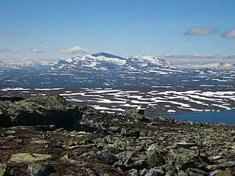 Helagsfjället en été