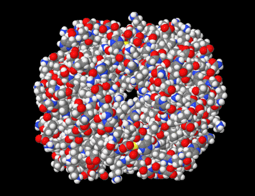 Représentation de l'hémoglobine humaine avec tous les atomes. (7dy3).