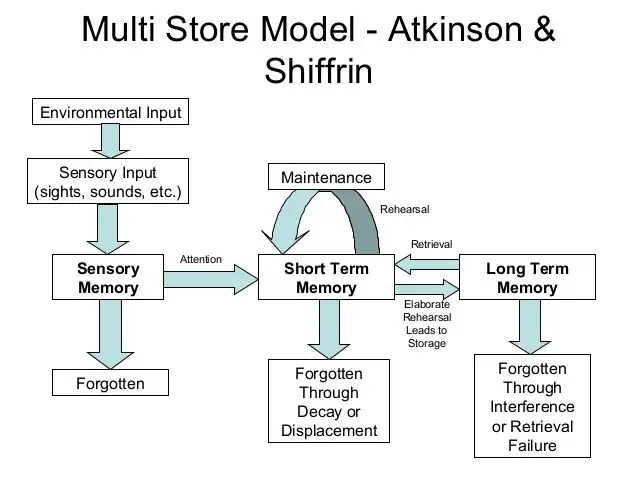[■Structure■] information mémoire sensorielle mémoire de travail mémoire stockage mémoire réflexe