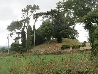 Motte castrale de Rathvilly.