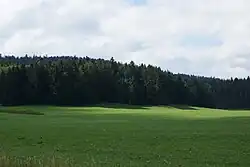Commune de Lac-des-Rouges-Truites, jeu d'ombres et de lumière sur la forêt du Mont-Noir.