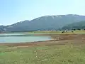 Le lac en été
