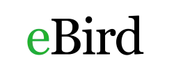 Logo de EBird