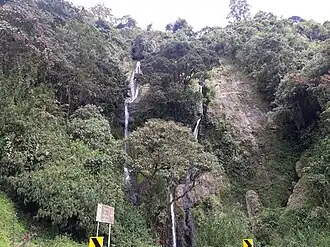 Guática