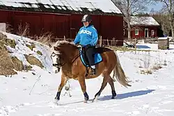 Cheval roux dans la neige monté par une femme