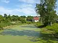 ruisseau et marécage Malachka