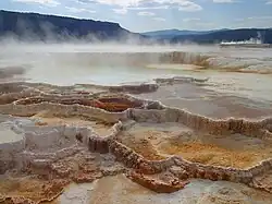 Vasques calcaires des Mammoth Hot Springs