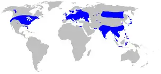 Description de l'image Map-Acoraceae.PNG.