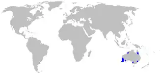 Description de l'image Map-Boryaceae.PNG.