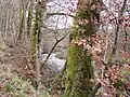 La Maulde en amont de la cascade des Jarrauds