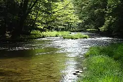 Image illustrative de l’article Forêt nationale d'Allegheny